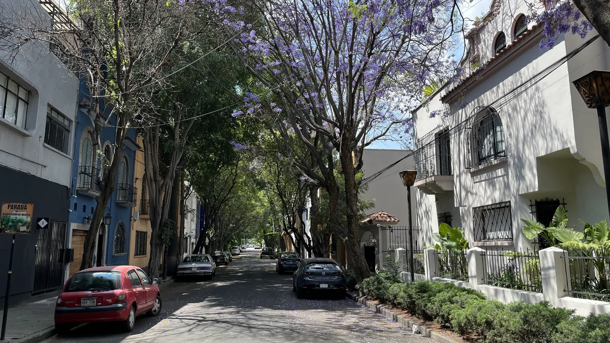 A tree-lined residential street in Condesa, Mexico City, with apartment buildings on both sides