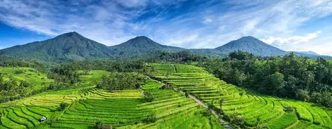 Bali's interior — how the villa research methodology samples operating data