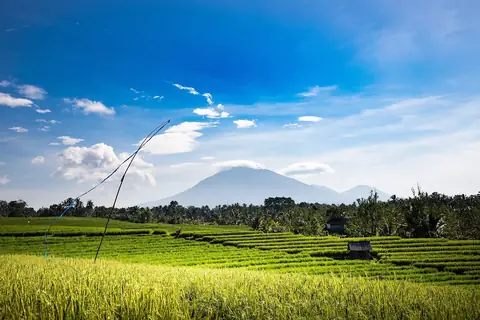 The Bali landscape — the analytics framework behind every villa number on this site