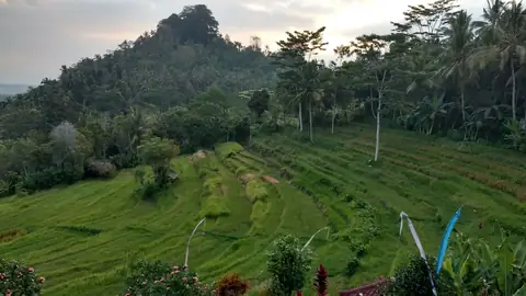 Bali rice fields — the full villa tax stack for foreign owners, PBB to PHR