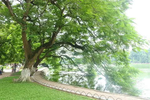 Hanoi — why a nominee workaround on Vietnamese property fails at the registry
